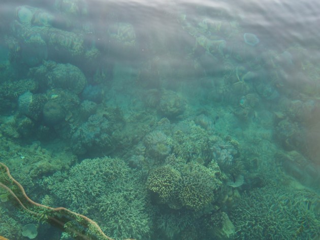 morning at the beach